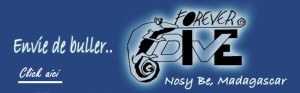 Banner Foreverdive